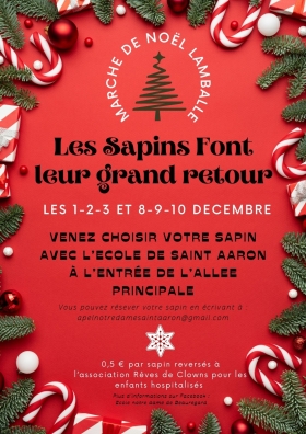 Vente de sapins de Noël