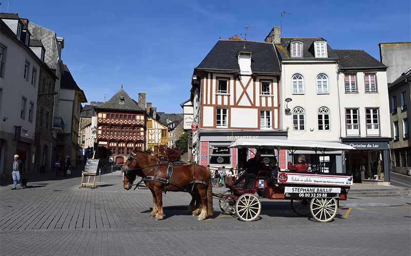 Le postier breton