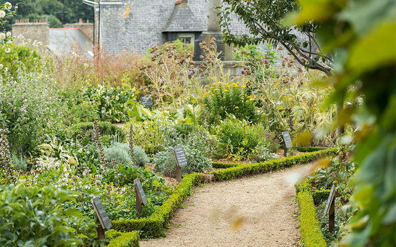 Le jardin médiéval