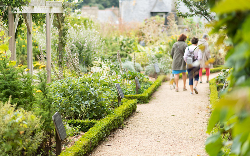 Le jardin médiéval