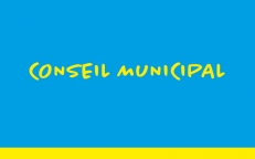 22/03/2021 : Conseil municipal