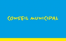 25/01/2021 : Conseil municipal