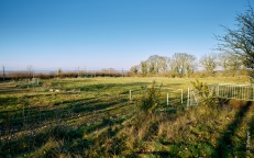 Renaturation du terrain de football de Meslin