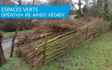 Les haies sèches, nouvelle méthode de gestion des déchets végétaux.