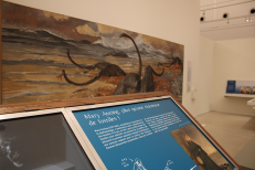 Visite flash de l'exposition 