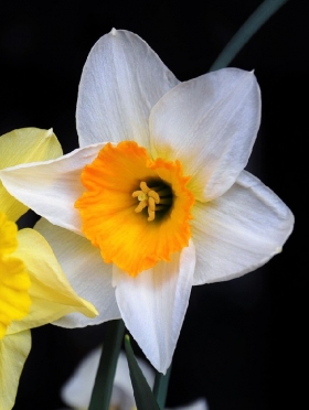 Prenez-en de la graine ! 