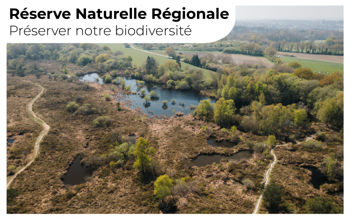 Vers la création de la Réserve Naturelle Régionale (RNR) des Landes de La Poterie
