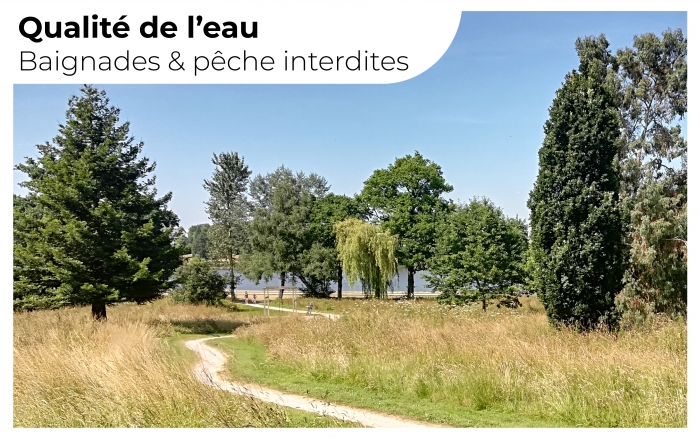 Cyanobactéries : baignade & activités nautiques interdites
